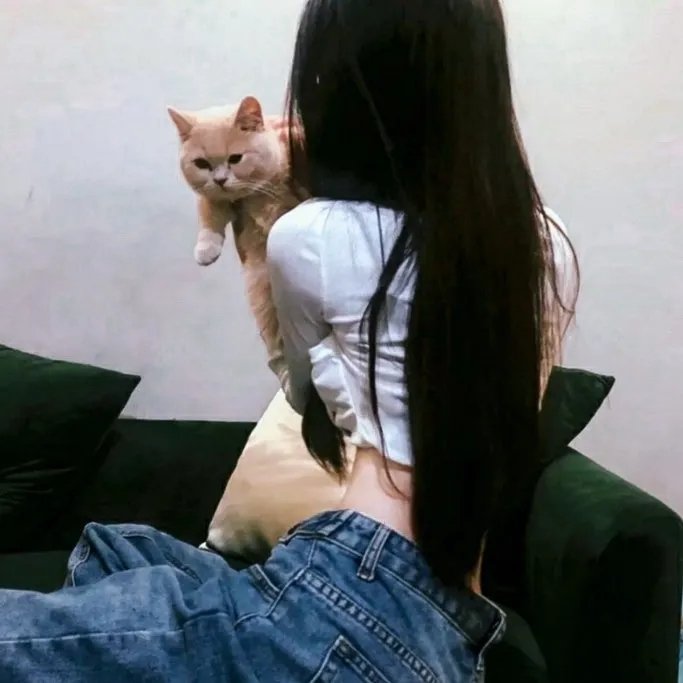 东邻西舍第六季